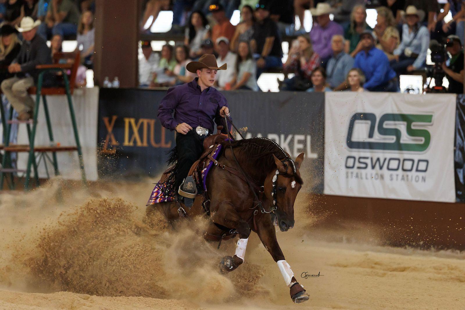Gabriel Borges eleva cavalo brasileiro ao topo do ranking