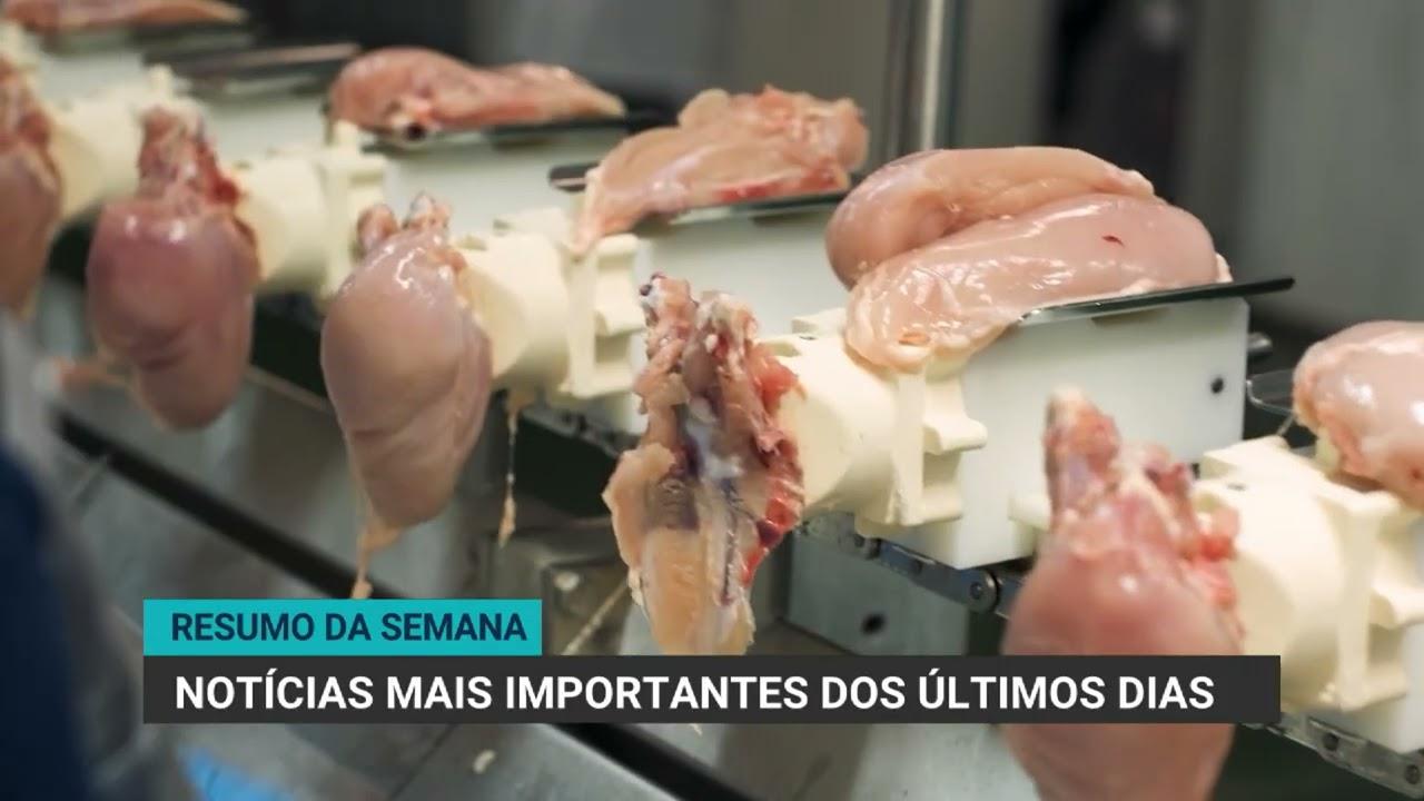 Queda de 26% no Crédito Rural Impacta Agropecuária no Brasil