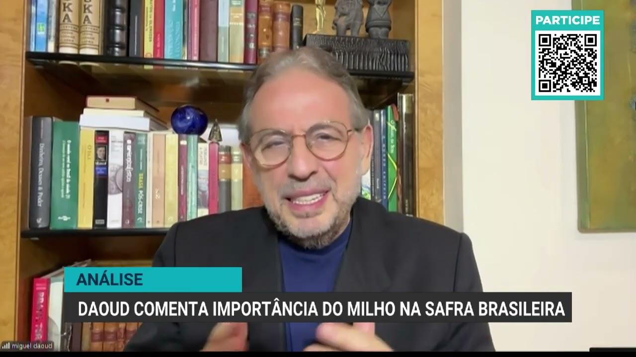Produção de milho no Brasil em 2023: desafios, avanços e