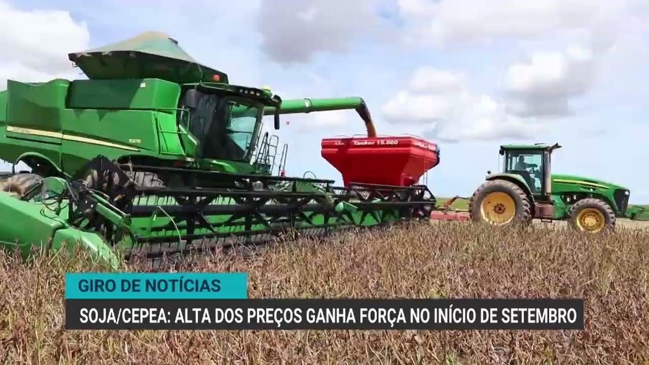 Exportação de carne bovina do Brasil cai 27% em agosto de