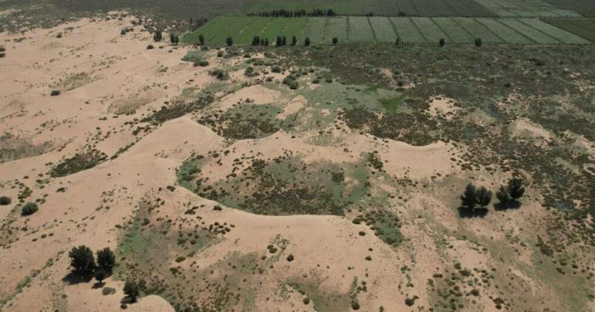 COP da Desertificação alerta sobre impacto global, com foco no Brasil e soluções para o Semiárido