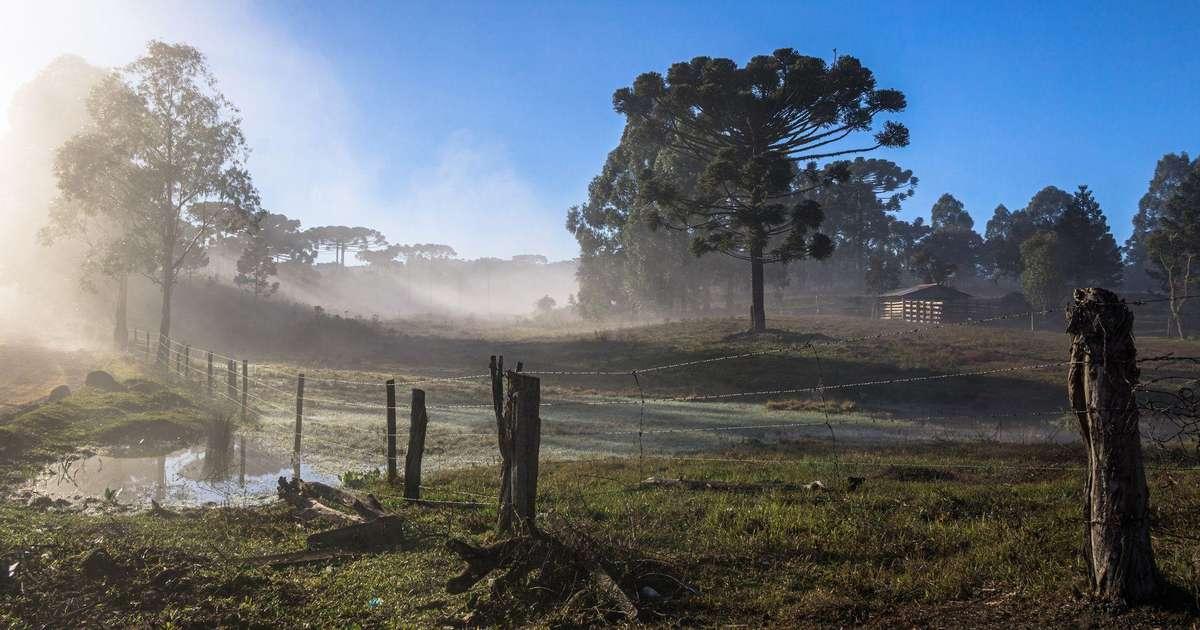 Primavera de 2023 traz El Niño intenso e eventos extremos